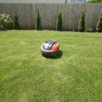 Buy A Lawn Mower Online