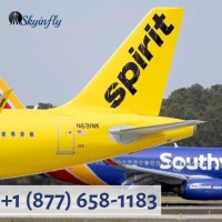  1 877 6581183 Spirit Airlines Flight booking