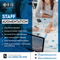 Staff Augmentation Services  Rio Business Solutions